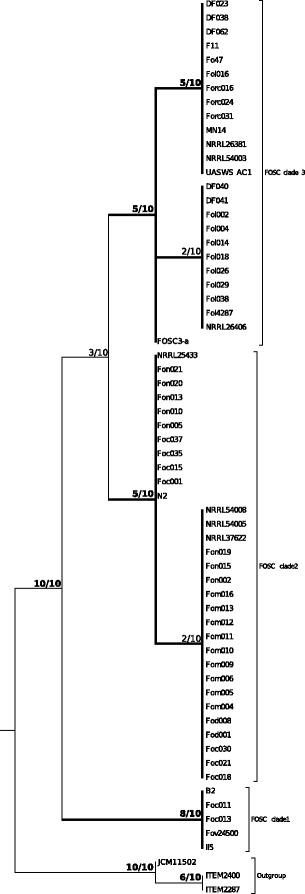 https://cdn.ncbi.nlm.nih.gov/pmc/blobs/ac58/5604515/3e9a90a2d66f/12864_2017_4116_Fig2_HTML.jpg