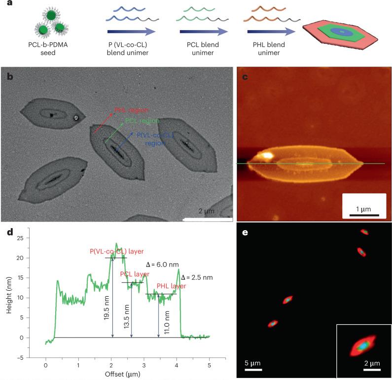 https://cdn.ncbi.nlm.nih.gov/pmc/blobs/ac5b/10239731/bd28aec15105/41557_2023_1177_Fig4_HTML.jpg