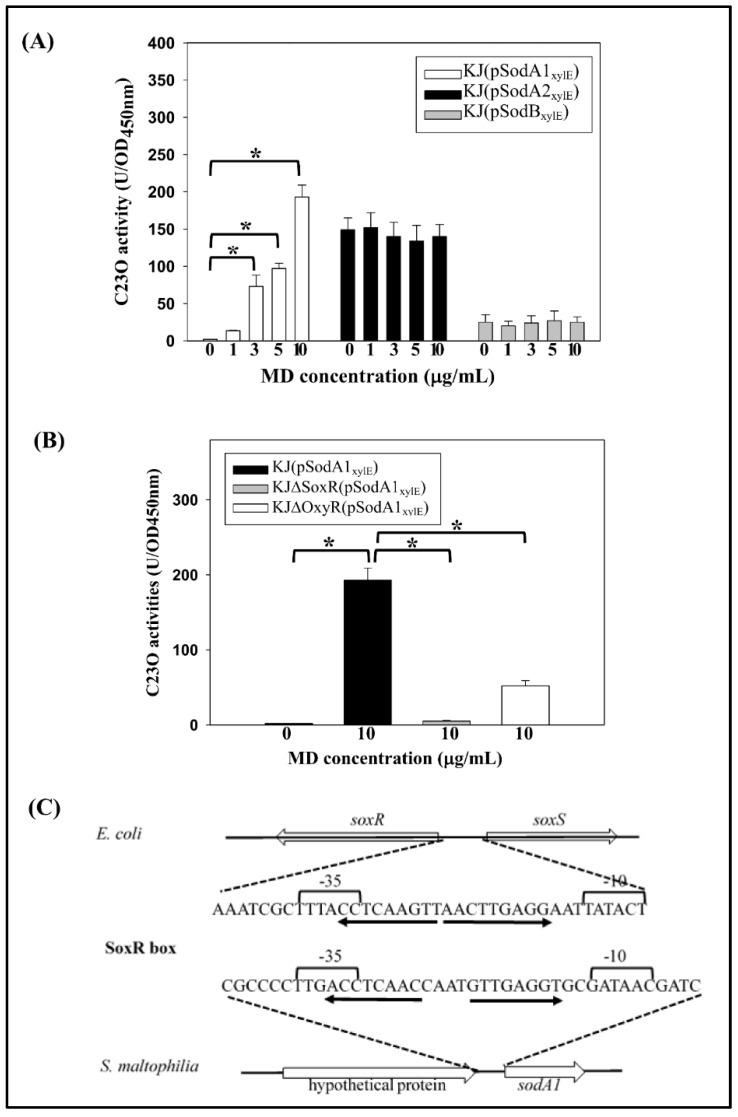 https://cdn.ncbi.nlm.nih.gov/pmc/blobs/ac5b/6479884/e42e4efeb50f/ijms-20-01770-g003.jpg