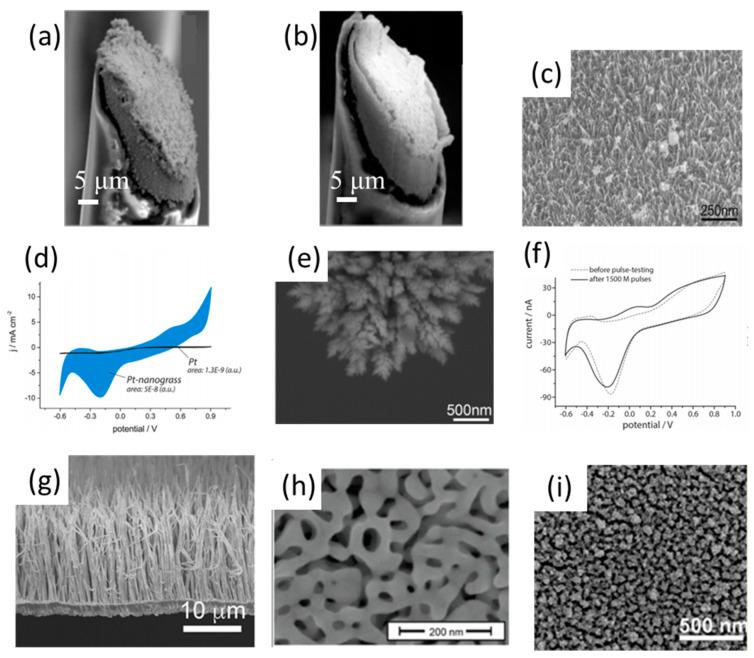 https://cdn.ncbi.nlm.nih.gov/pmc/blobs/ac5c/8401399/88dc29eea47e/polymers-13-02834-g002.jpg