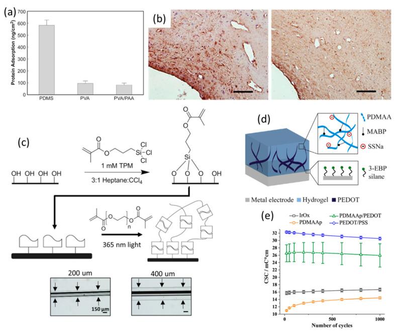 https://cdn.ncbi.nlm.nih.gov/pmc/blobs/ac5c/8401399/9486137008fc/polymers-13-02834-g007.jpg