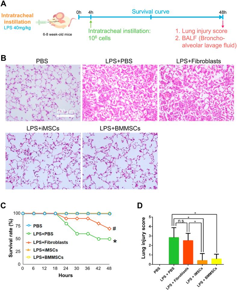 https://cdn.ncbi.nlm.nih.gov/pmc/blobs/ac5d/5356011/06c5a7a2ed84/srep44534-f3.jpg