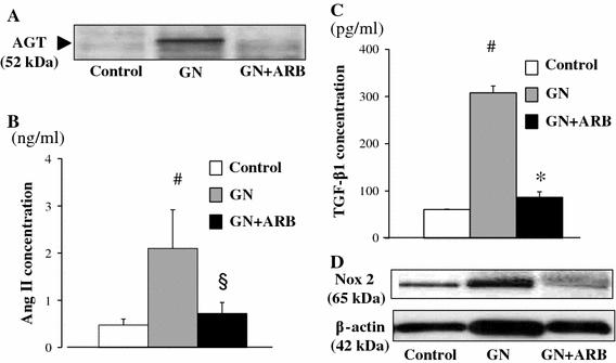 https://cdn.ncbi.nlm.nih.gov/pmc/blobs/ac5e/3328682/e541e49ebe82/10157_2011_568_Fig5_HTML.jpg