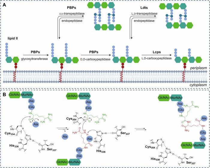 https://cdn.ncbi.nlm.nih.gov/pmc/blobs/ac5f/11410929/53b2cb514e6c/42003_2024_6785_Fig1_HTML.jpg