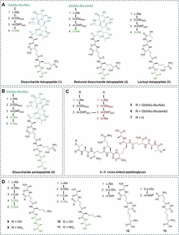 https://cdn.ncbi.nlm.nih.gov/pmc/blobs/ac5f/11410929/fd4e54da0510/42003_2024_6785_Fig2_HTML.jpg