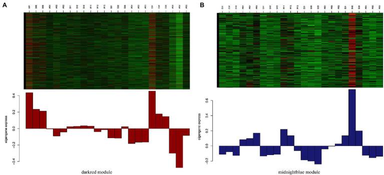 https://cdn.ncbi.nlm.nih.gov/pmc/blobs/ac61/9010130/f081431753d1/fpls-13-798118-g006.jpg