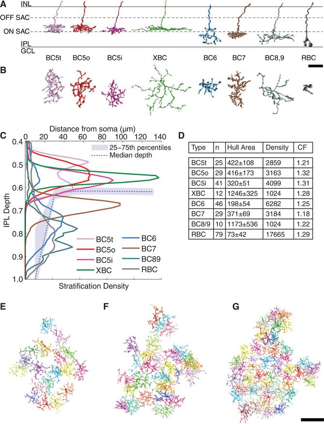 https://cdn.ncbi.nlm.nih.gov/pmc/blobs/ac63/6404534/b438828f1a26/nihms-757638-f0004.jpg