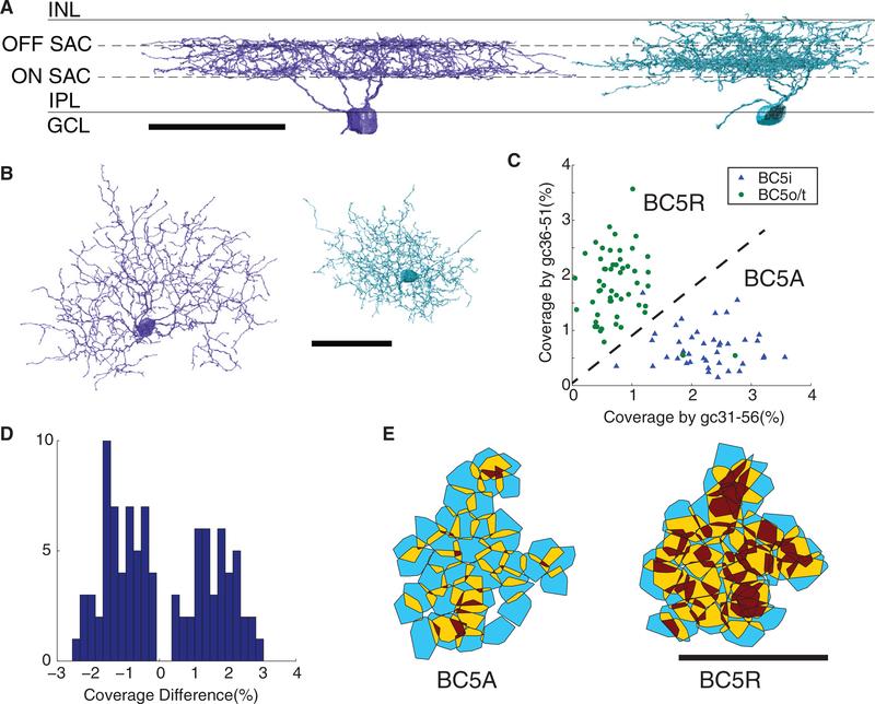 https://cdn.ncbi.nlm.nih.gov/pmc/blobs/ac63/6404534/c2f60176b593/nihms-757638-f0005.jpg