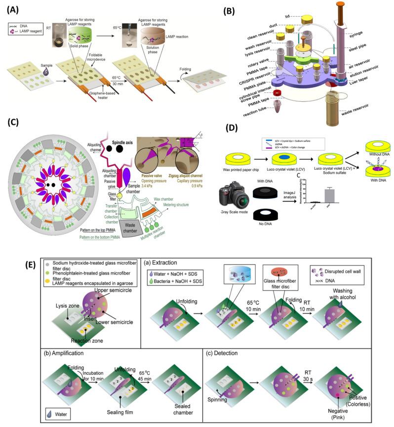 https://cdn.ncbi.nlm.nih.gov/pmc/blobs/ac63/9775414/8e5a9b958311/biosensors-12-01068-g007a.jpg