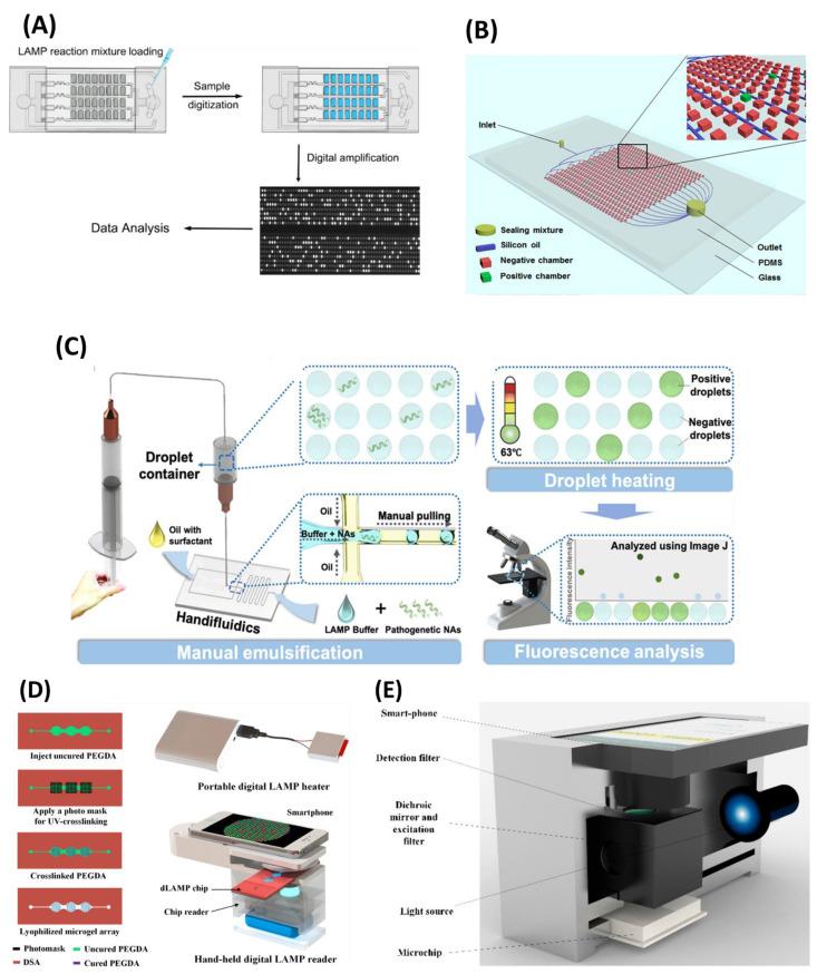 https://cdn.ncbi.nlm.nih.gov/pmc/blobs/ac63/9775414/c86f558f5068/biosensors-12-01068-g008.jpg