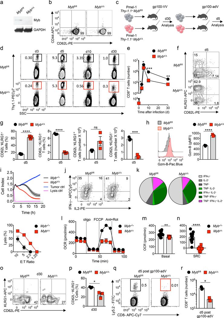 https://cdn.ncbi.nlm.nih.gov/pmc/blobs/ac64/6489499/a3d8d79750c2/nihms-1517146-f0001.jpg