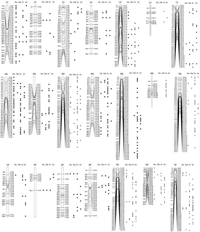 https://cdn.ncbi.nlm.nih.gov/pmc/blobs/ac65/8261300/c9c674f92499/fpls-12-685216-g0002.jpg