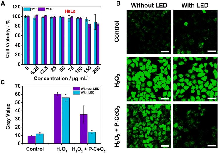 https://cdn.ncbi.nlm.nih.gov/pmc/blobs/ac66/11978324/7eadec7125ca/gr6.jpg