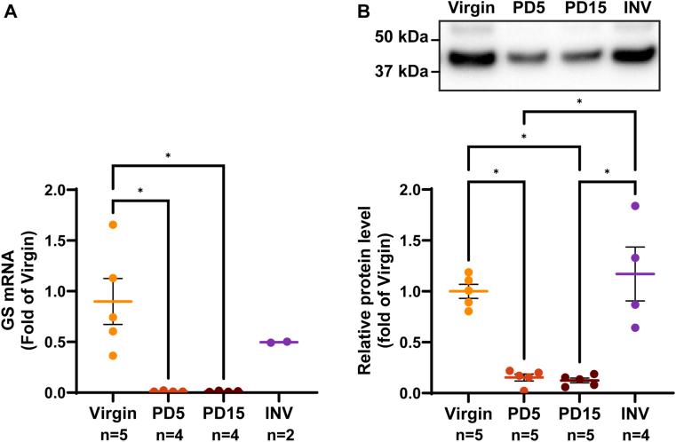https://cdn.ncbi.nlm.nih.gov/pmc/blobs/ac69/11130672/1600c2586ca4/gr2.jpg