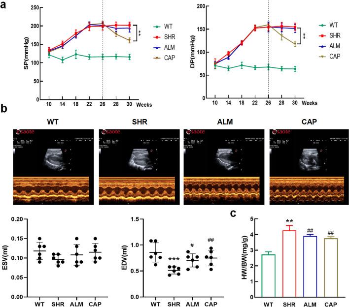 https://cdn.ncbi.nlm.nih.gov/pmc/blobs/ac69/11371882/e39e3fc3317d/12265_2024_10488_Fig1_HTML.jpg