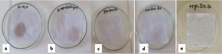 https://cdn.ncbi.nlm.nih.gov/pmc/blobs/ac6a/9426928/41a551a94054/pone.0273368.g005.jpg