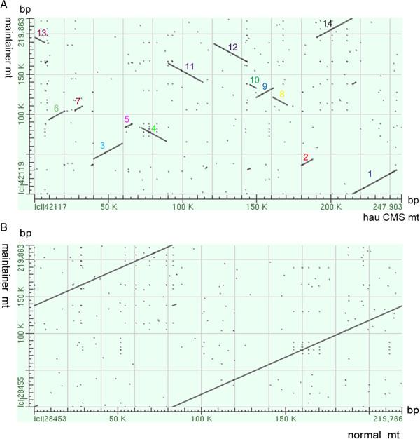 https://cdn.ncbi.nlm.nih.gov/pmc/blobs/ac6b/4035054/38eede212b35/12864_2013_6022_Fig2_HTML.jpg
