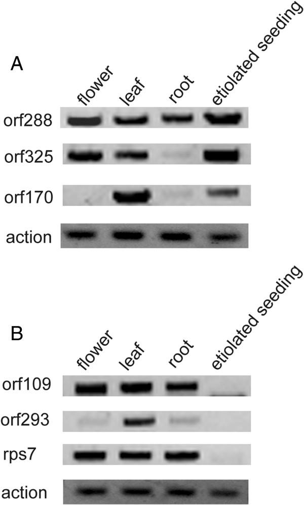 https://cdn.ncbi.nlm.nih.gov/pmc/blobs/ac6b/4035054/4f7cac9f2677/12864_2013_6022_Fig5_HTML.jpg