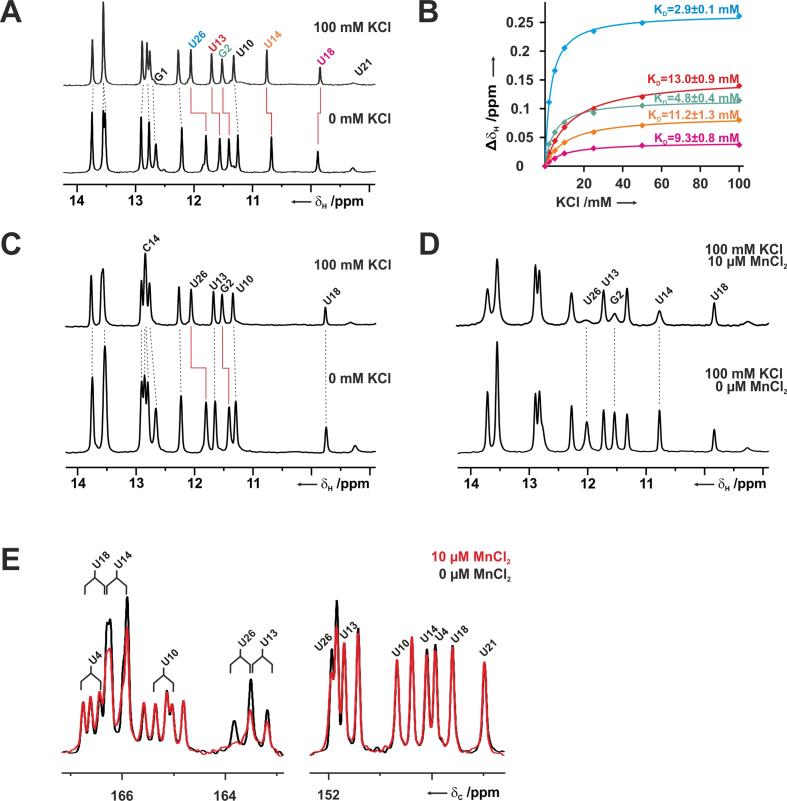 https://cdn.ncbi.nlm.nih.gov/pmc/blobs/ac6b/6061696/8f77e4872a7f/gky490fig6.jpg