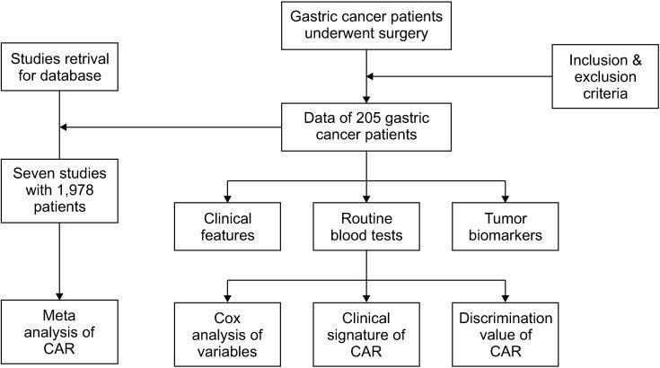 https://cdn.ncbi.nlm.nih.gov/pmc/blobs/ac6b/8176197/f000a7286c2f/astr-100-338-g001.jpg