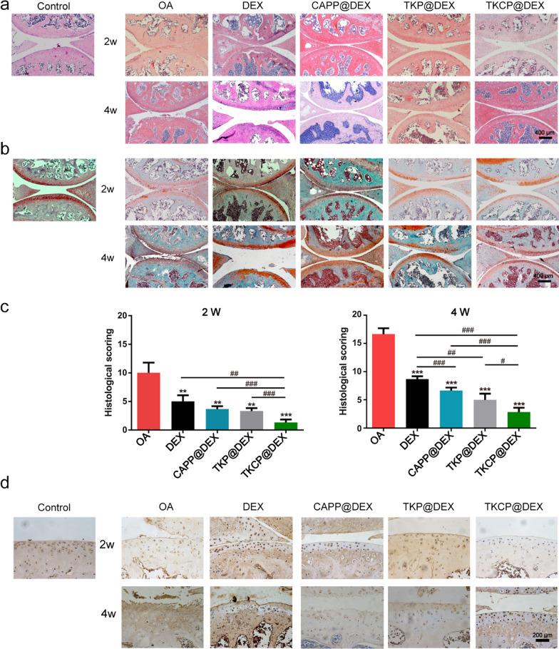 https://cdn.ncbi.nlm.nih.gov/pmc/blobs/ac6b/8627084/4fdecadb2d0a/12951_2021_1136_Fig6_HTML.jpg