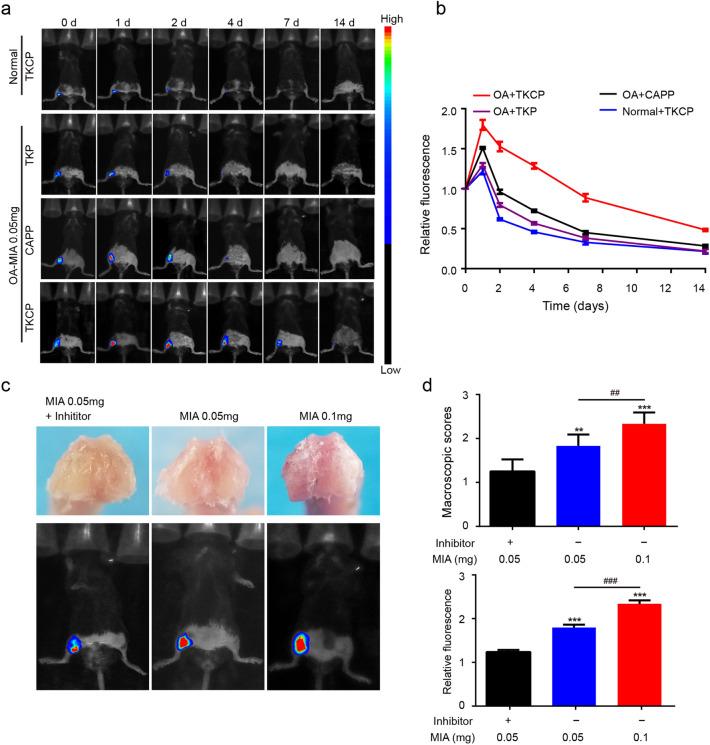 https://cdn.ncbi.nlm.nih.gov/pmc/blobs/ac6b/8627084/9d6636a64f37/12951_2021_1136_Fig4_HTML.jpg