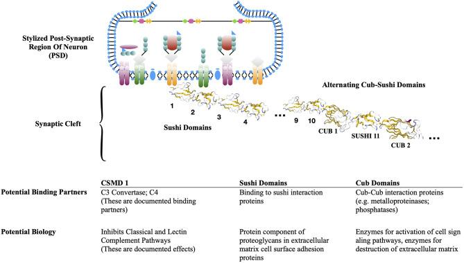 https://cdn.ncbi.nlm.nih.gov/pmc/blobs/ac6c/7969890/1805fb9617c1/fnmol-14-620090-g0008.jpg