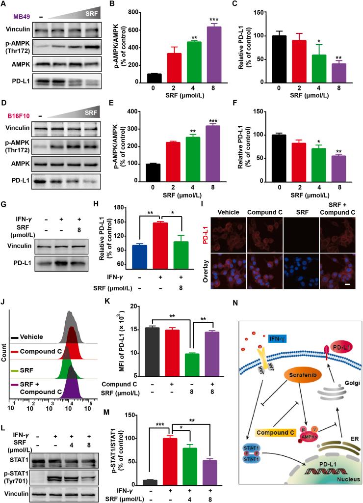 https://cdn.ncbi.nlm.nih.gov/pmc/blobs/ac6d/9643273/2f99d1a54ea6/gr2.jpg