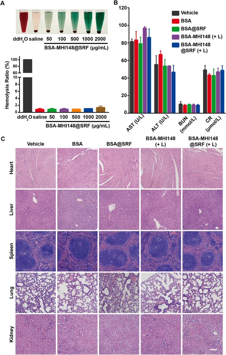 https://cdn.ncbi.nlm.nih.gov/pmc/blobs/ac6d/9643273/5a088ea02cc9/gr10.jpg