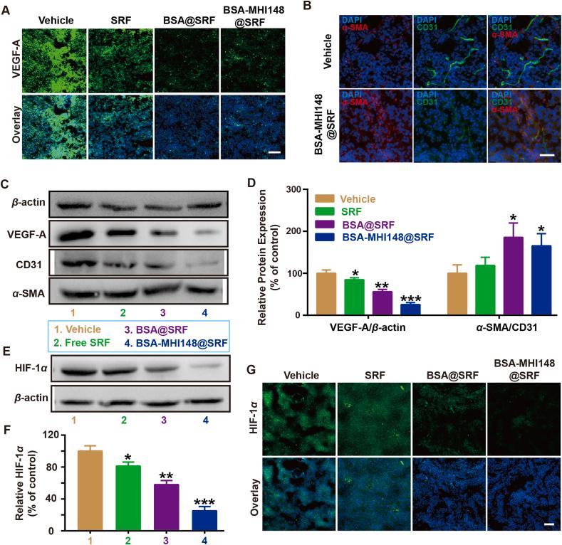 https://cdn.ncbi.nlm.nih.gov/pmc/blobs/ac6d/9643273/ca3f831a960d/gr8.jpg
