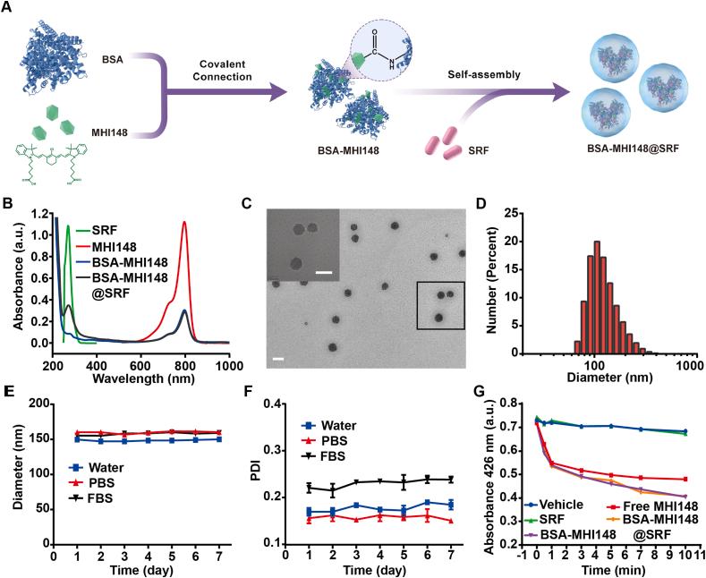 https://cdn.ncbi.nlm.nih.gov/pmc/blobs/ac6d/9643273/d2decd911b13/gr3.jpg