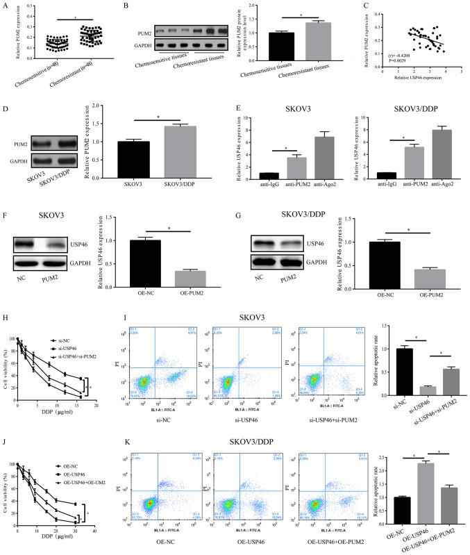 https://cdn.ncbi.nlm.nih.gov/pmc/blobs/ac6e/7893694/acf0d0710bc7/mmr-23-04-11902-g02.jpg