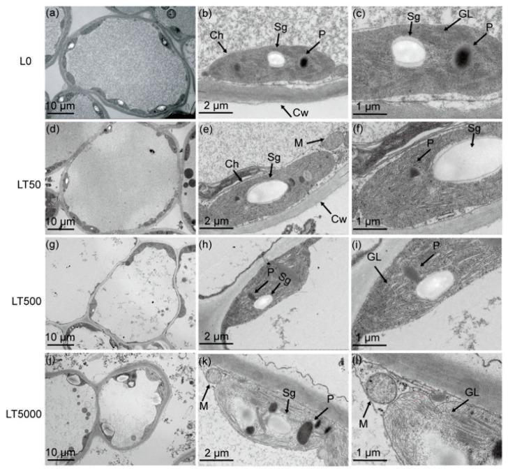 https://cdn.ncbi.nlm.nih.gov/pmc/blobs/ac6f/11281169/45c665d2e23b/toxics-12-00456-g003.jpg