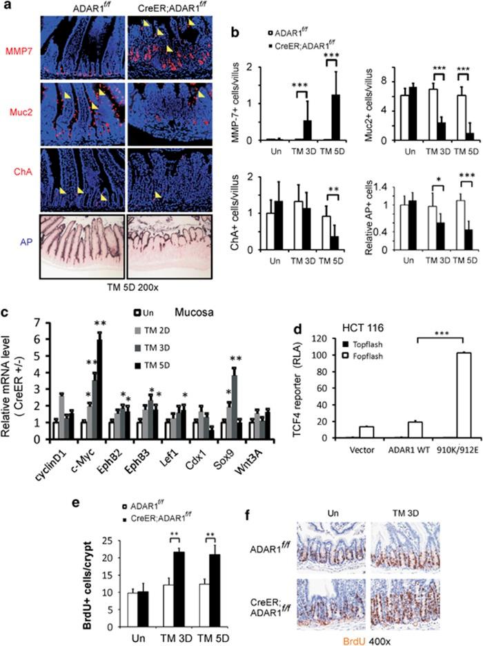 https://cdn.ncbi.nlm.nih.gov/pmc/blobs/ac6f/3641348/5334d58033d2/cddis2013125f3.jpg