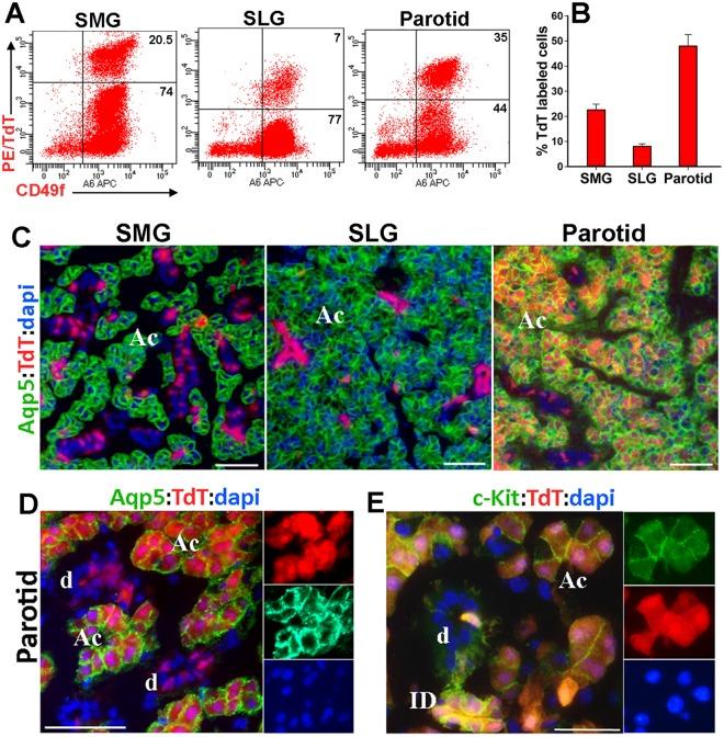 https://cdn.ncbi.nlm.nih.gov/pmc/blobs/ac72/6155036/21a22bae0f65/41598_2018_32557_Fig2_HTML.jpg