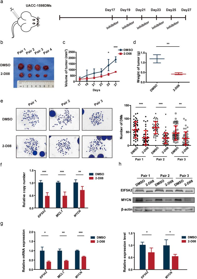 https://cdn.ncbi.nlm.nih.gov/pmc/blobs/ac73/10936631/78291bd3e549/KCBT_A_2323768_F0005_OC.jpg