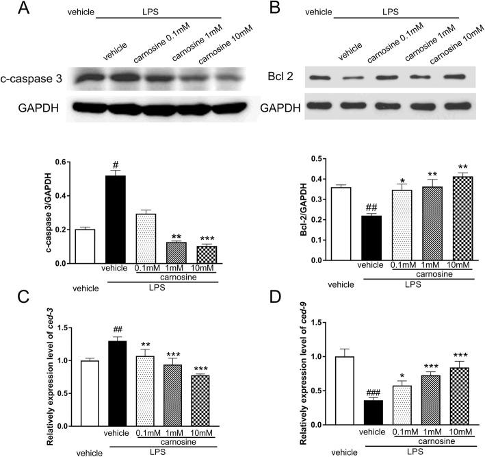https://cdn.ncbi.nlm.nih.gov/pmc/blobs/ac75/7713333/e0bbfadc1440/40360_2020_455_Fig3_HTML.jpg
