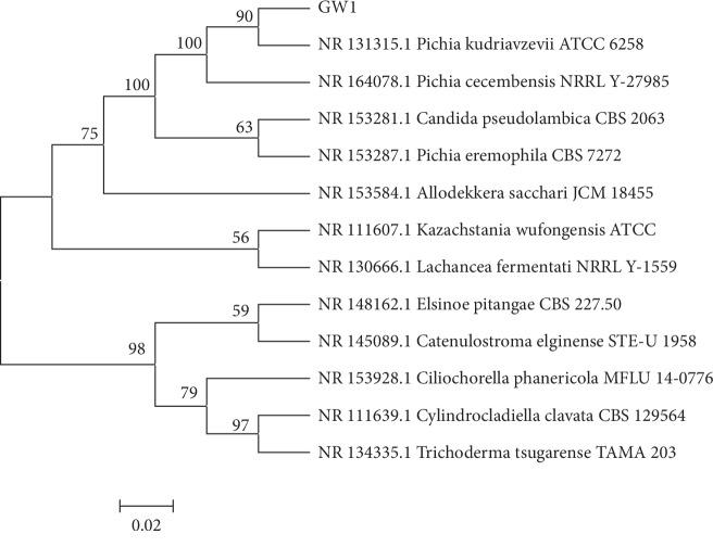https://cdn.ncbi.nlm.nih.gov/pmc/blobs/ac76/7049327/34a933371b3f/BMRI2020-1537873.004.jpg
