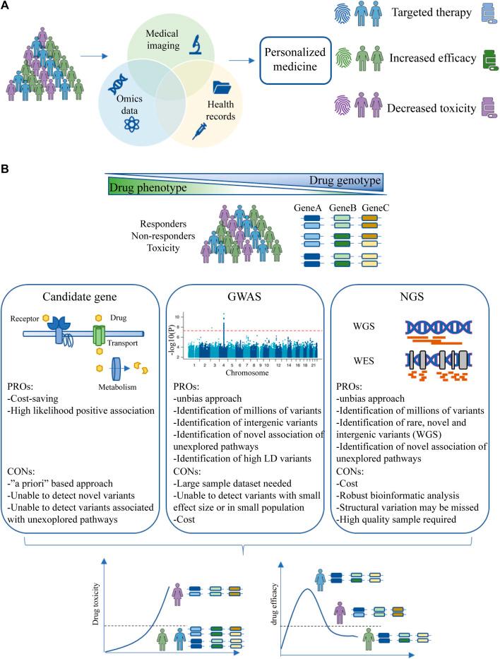 https://cdn.ncbi.nlm.nih.gov/pmc/blobs/ac78/10803549/70d5f3678034/fphar-14-1260276-g002.jpg