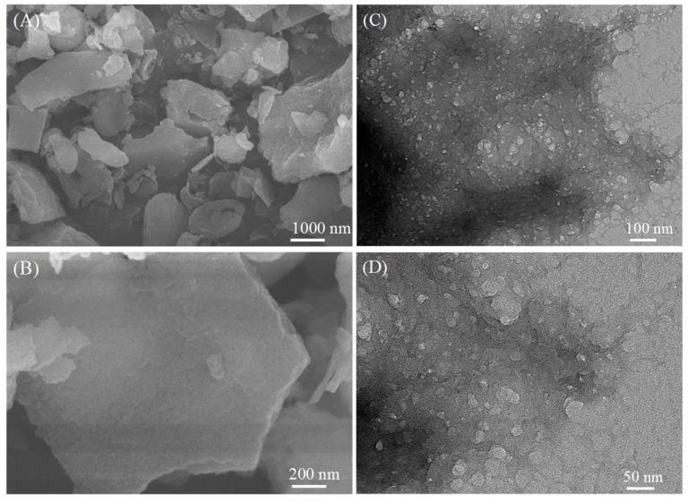 https://cdn.ncbi.nlm.nih.gov/pmc/blobs/ac79/10095650/62e397e451a9/molecules-28-02897-g001.jpg