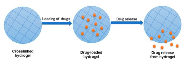 https://cdn.ncbi.nlm.nih.gov/pmc/blobs/ac7a/8272193/2a902e035a62/polymers-13-02102-g003.jpg