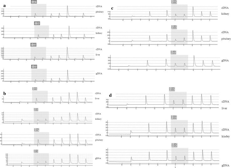 https://cdn.ncbi.nlm.nih.gov/pmc/blobs/ac7b/3538019/2e566db1da5e/11033_2012_2161_Fig1_HTML.jpg