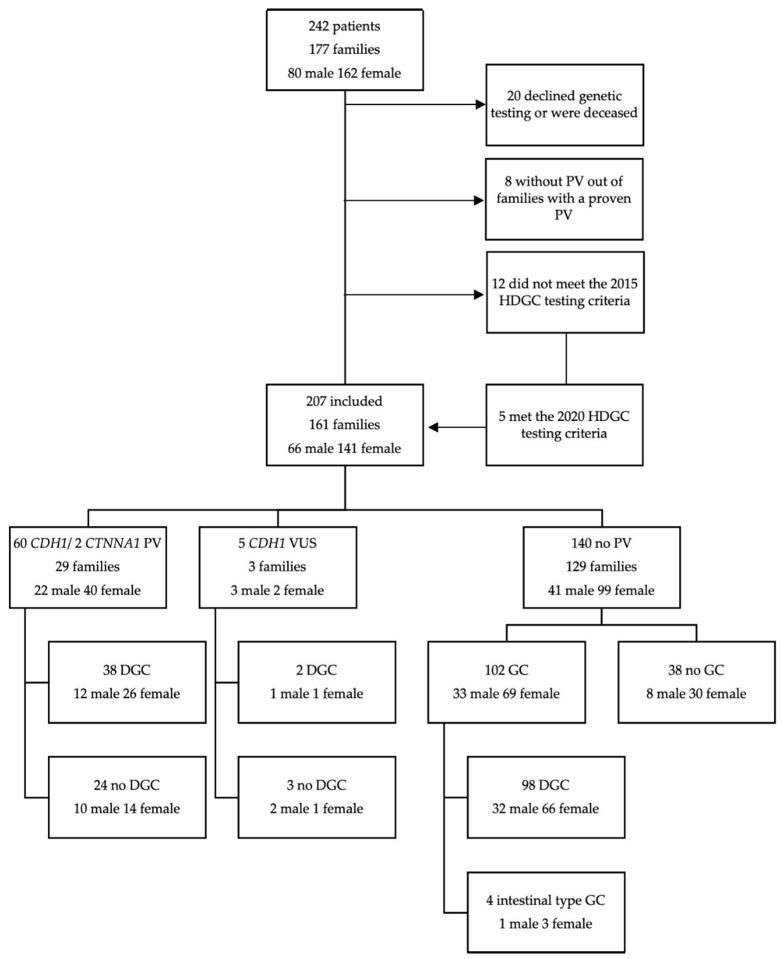 https://cdn.ncbi.nlm.nih.gov/pmc/blobs/ac7c/7763201/39b35ea2f72c/cancers-12-03726-g001.jpg