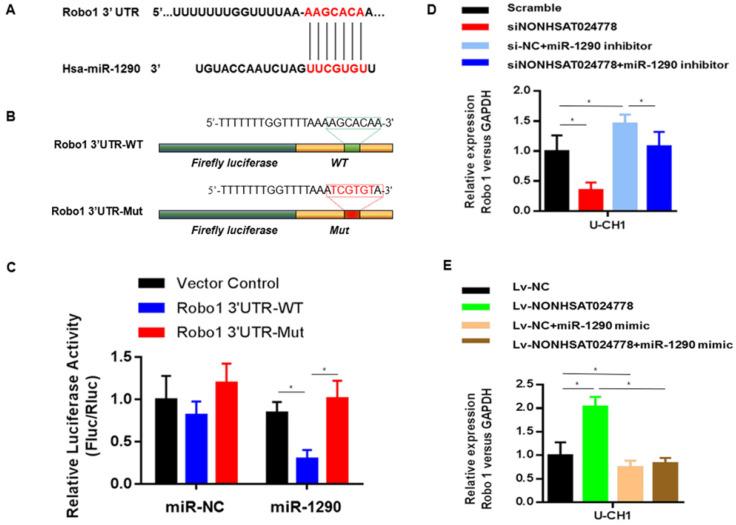 https://cdn.ncbi.nlm.nih.gov/pmc/blobs/ac7c/7975704/1f2231da1ef2/ijbsv17p0796g005.jpg