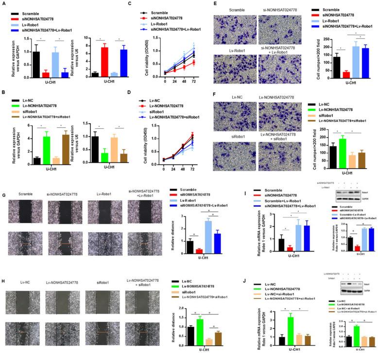https://cdn.ncbi.nlm.nih.gov/pmc/blobs/ac7c/7975704/59cae936400f/ijbsv17p0796g006.jpg