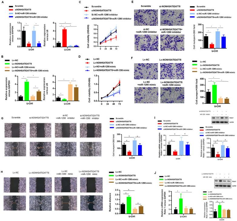 https://cdn.ncbi.nlm.nih.gov/pmc/blobs/ac7c/7975704/98d02bcef2ce/ijbsv17p0796g004.jpg
