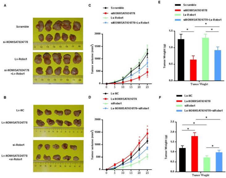 https://cdn.ncbi.nlm.nih.gov/pmc/blobs/ac7c/7975704/fd79cc55f244/ijbsv17p0796g007.jpg