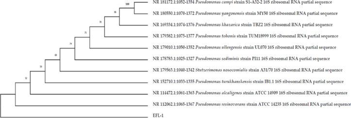 https://cdn.ncbi.nlm.nih.gov/pmc/blobs/ac7d/12397379/55a072e4c283/41598_2025_17314_Fig1_HTML.jpg