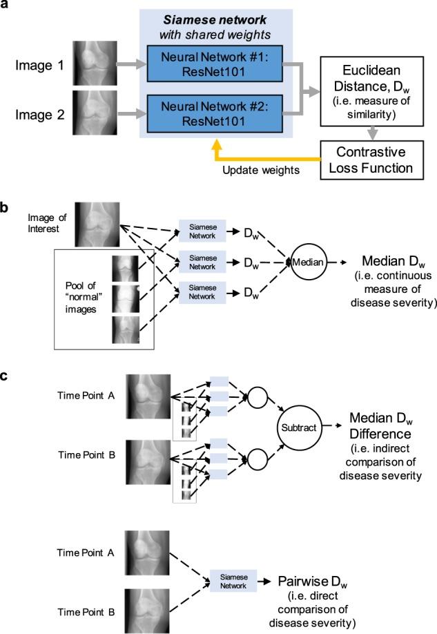 https://cdn.ncbi.nlm.nih.gov/pmc/blobs/ac7e/7099081/73eca397eda7/41746_2020_255_Fig1_HTML.jpg