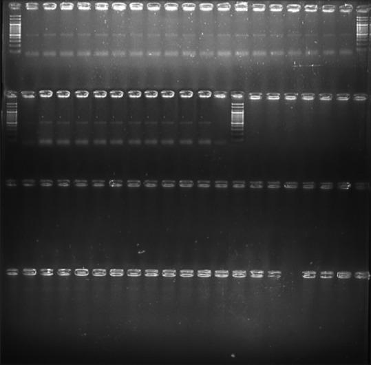 https://cdn.ncbi.nlm.nih.gov/pmc/blobs/ac80/10112116/51fd3bb3ef1d/JOMFP-26-495-g001.jpg